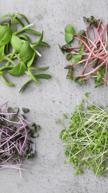 Microgreens