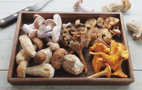 Mushrooms