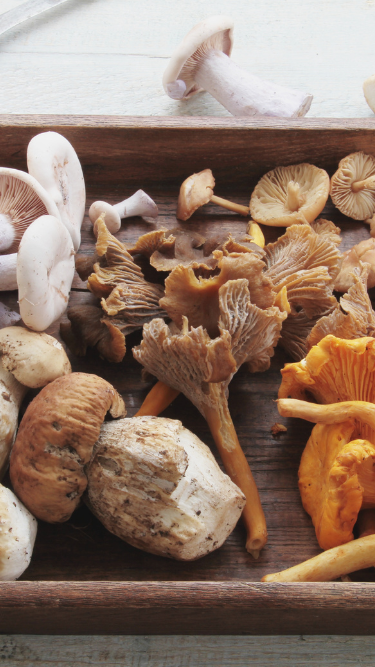 Mushrooms