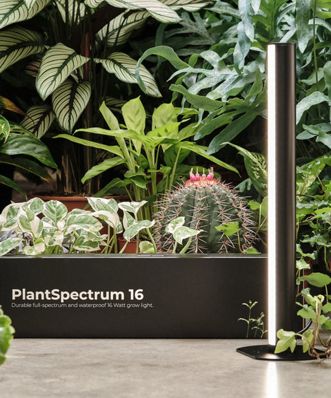 PlantSpectrum 16