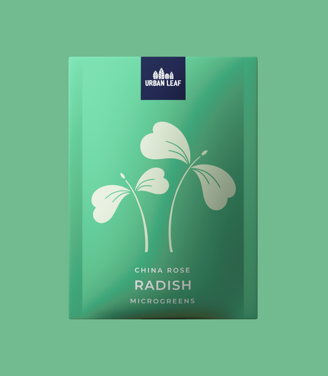 Radish - China Rose (Microgreens)