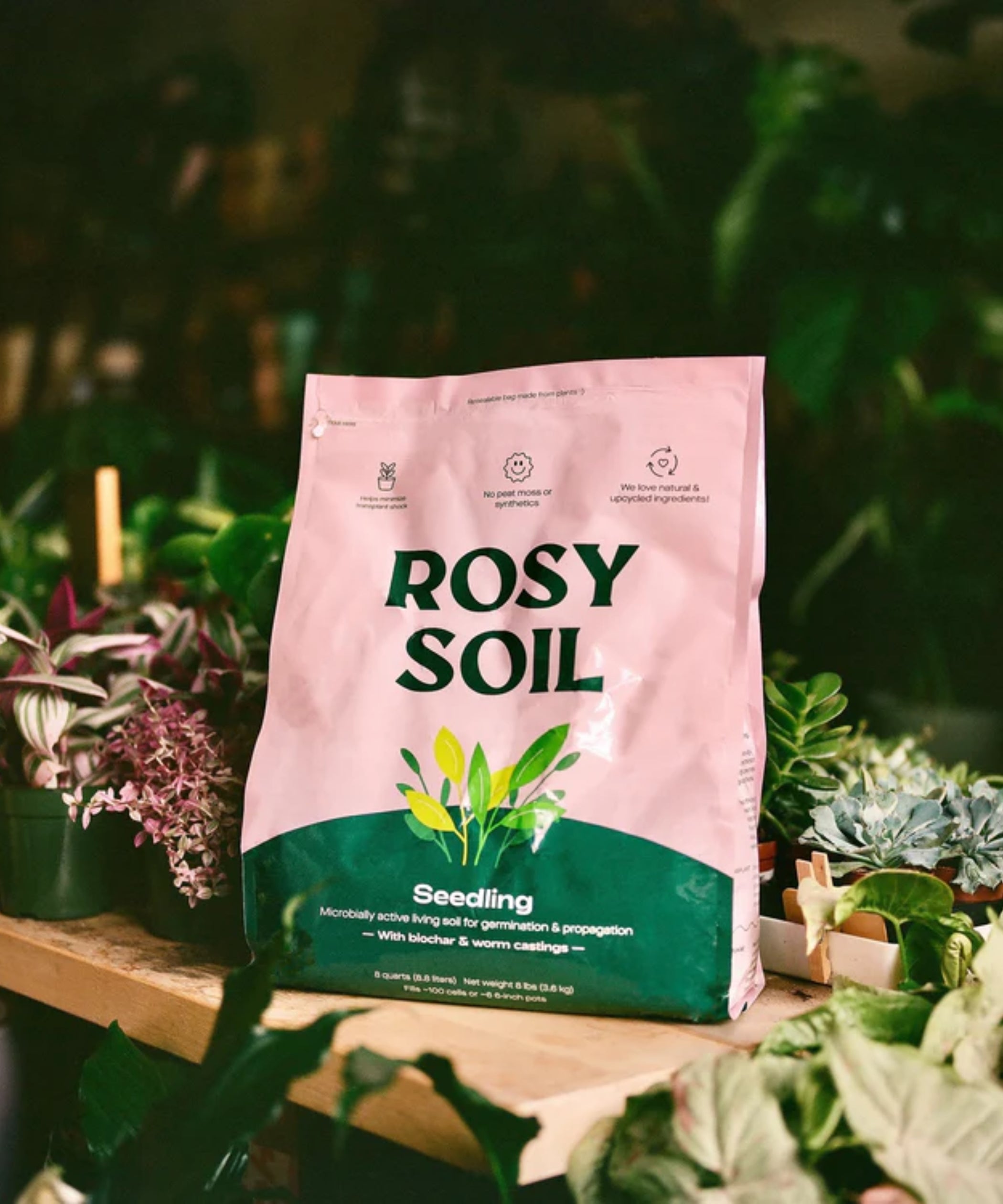 Seed Starting Mix made with Biochar Urban Leaf