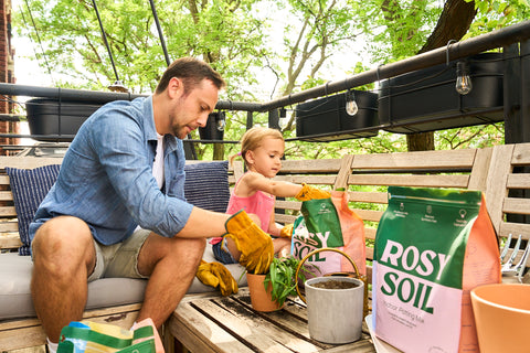 Boosts soil aeration, drainage, and nutrient uptake to help plants flourish