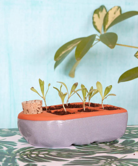Sixie Self Watering Seed Pot