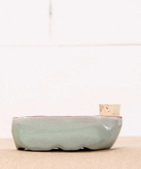 Sixie Self Watering Seed Pot