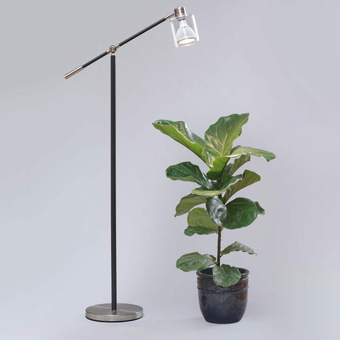 A floor lamp with a Vita Grow Light, illuminating a potted plant next to it.
