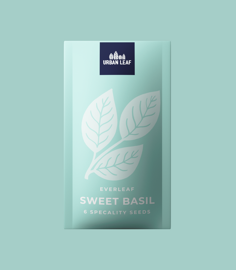 Sweet Basil - Everleaf