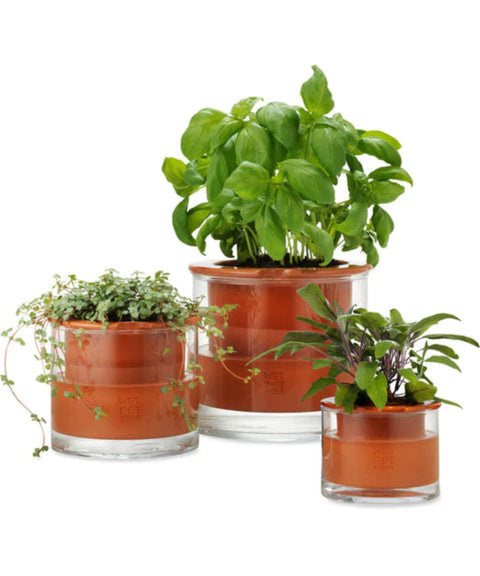 Self Watering Planter - Small
