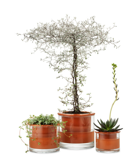 Self Watering Planter - Small