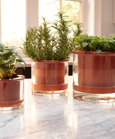 Self Watering Planter - Small