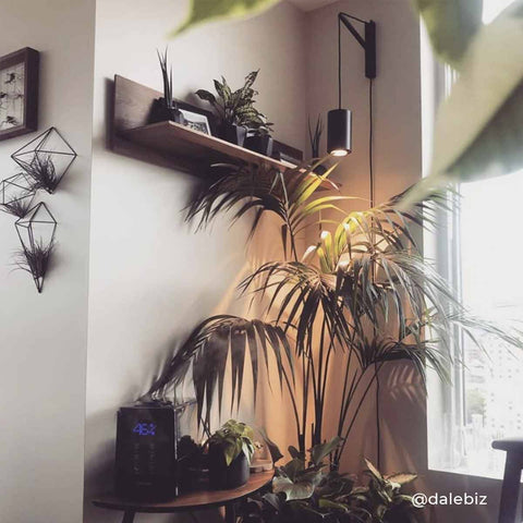 Pinocchio - Adjustable Wall Mount (DS)