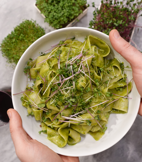 Mustard - Spicy Oriental (Microgreens)