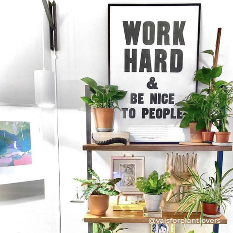 Pinocchio - Adjustable Wall Mount (DS)