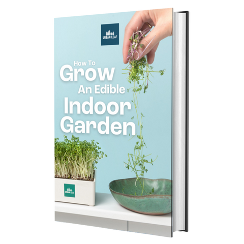 How To Grow An Edible Indoor Garden (Digital Download)