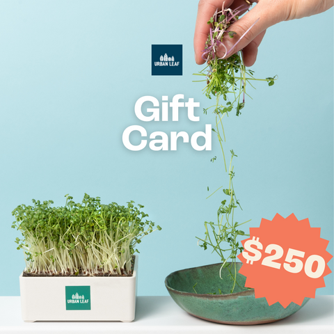 Urban Leaf Gift Card