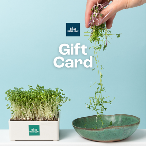 Urban Leaf Gift Card