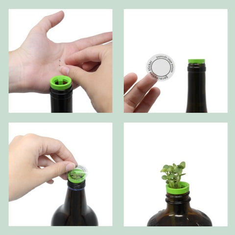 This $22 Kit Turns Your Empty Wine Bottles Into an Herb Garden